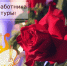 Магомед Эльдерханов поздравил работников культуры с профессиональным праздником - Сетевое издание Вестник Каякентского района